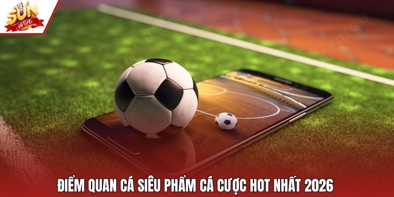 Điểm quan cá siêu phẩm cá cược hot nhất 2026