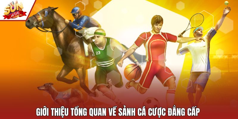 Giới thiệu tổng quan về sảnh cá cược đẳng cấp