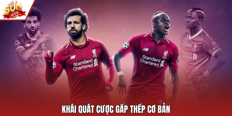 Khái quát cược gấp thếp cơ bản