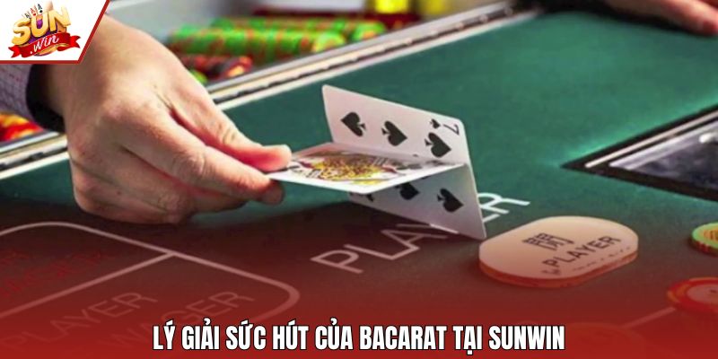 Lý giải sức hút của bacarat tại Sunwin